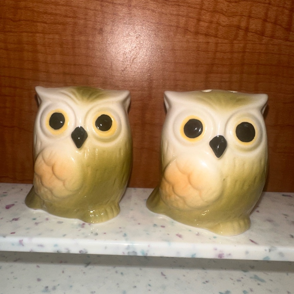 Charming Owl Salt & Pepper Shakers!
